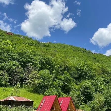 Resort Bizim O'ra Kueme Evleri & *
