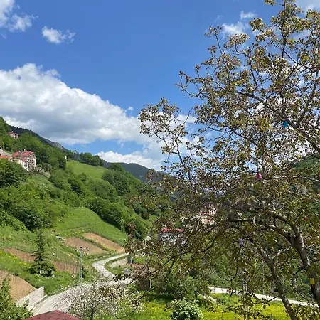 Resort Bizim O'ra Kueme Evleri &